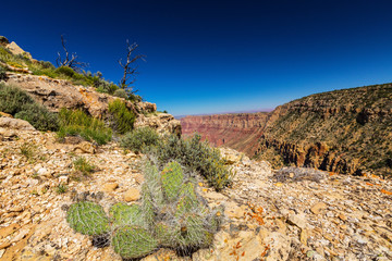 Grand Canyon scenery on a bright autumn day, with deep blue skies