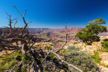 Grand Canyon scenery on a bright autumn day, with deep blue skies