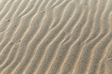 Fototapeta na wymiar Texture of river sand on the Volga beach.