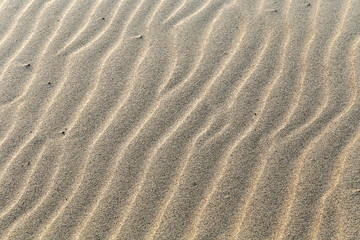 Texture of river sand on the Volga beach.