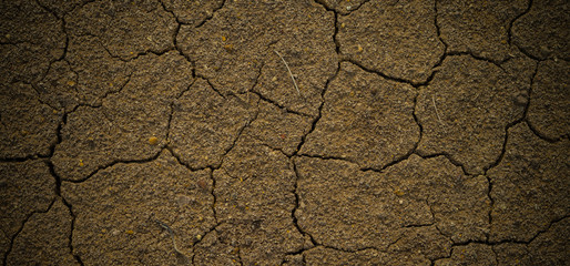 dry soil / crack