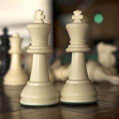 Chess pieces. Couple made of two white kings.
