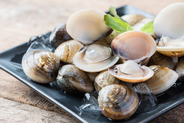 Fresh enamel venus shell edible saltwater clams © teen00000