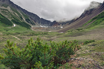 Summer mountain landscape of Kamchatka Peninsula: beautiful view of Mountain Range Vachkazhets -...