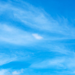 Fototapeta premium Blue sky background with tiny clouds