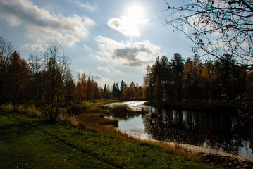 Foreste panorami in Scandinavia paesi del nord, Svezia, Norvegia, Finlandia