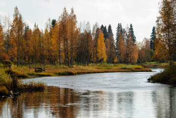 Foreste panorami in Scandinavia paesi del nord, Svezia, Norvegia, Finlandia