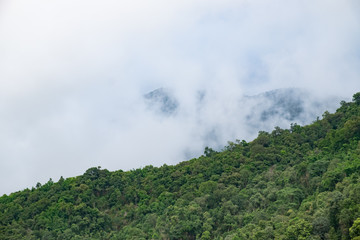 Fototapeta na wymiar Fog on the mountain in the rainy season