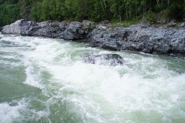 Naklejka premium SONY DSC