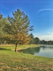 passeggiando sulla riva del lago