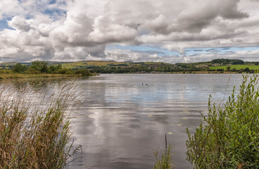 Fototapeta premium Castle Semple Loch Lochwinnoch Scotland