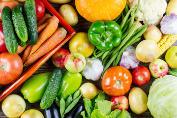 Set of different fresh raw colorful vegetables, autumn harvest