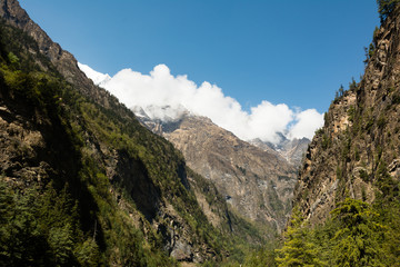 Fototapeta premium The mountain