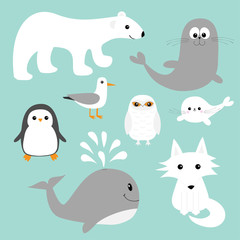 Arctic polar animal set. White bear, owl, penguin, Seal pup baby harp sea lion fox wolf whale albatross seagall. Kids education cards. Cute cartoon character. Blue background Isolated. Flat design.