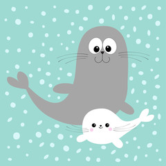 Sea lion. Harp seal pup. Cute cartoon character. Happy animal collection. Sea ocean water. Mother and baby family. Blue snow winter background. Flat design