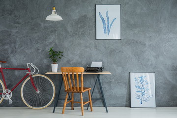 Potted plant on the desk