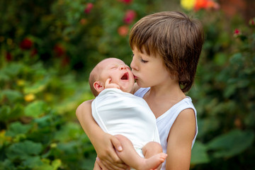 Little children, boys with a newborn brother in the park © Tomsickova
