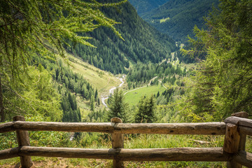 mountain landscape. Summer view of the Rabbi Valley, Trentino Alto Adige, Italy