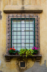 Fototapeta na wymiar Ancient window of historic palace with flower seedlings