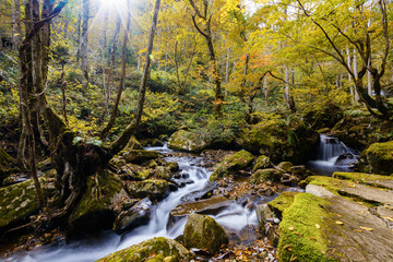 Obraz premium 秋の宇津江四十八滝