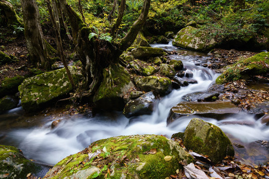 27 Best 宇津江四十八滝 滝 岐阜県 高山市 自然 風景 飛騨 日本 飛騨高山 岐阜 緑色 渓谷 清流 観光地 川 秋 紅葉 Images Stock Photos Vectors Adobe Stock 27 Best 宇津江四十八滝 滝 岐阜県 高山市 自然 風景 飛騨 日本 飛騨高山 岐阜 緑色 渓谷 清流 観光地 川 秋 紅葉 Images Stock Photos Vectors Adobe Stock