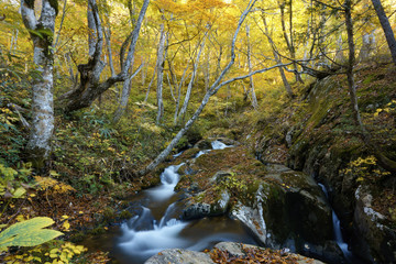 秋の宇津江四十八滝