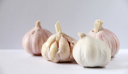 Garlic on white background
