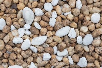 Stone wall texture photo,  stones in the park