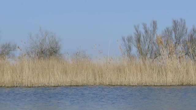 Lake in Parc Natural del Delta de l'Ebre