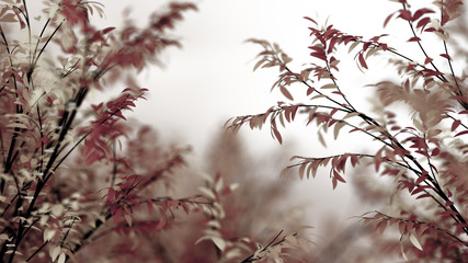 Dark autumnal background. 3d illustration, 3d rendering.