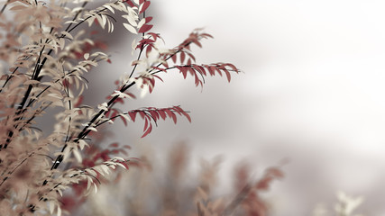 Dark autumnal background. 3d illustration, 3d rendering.