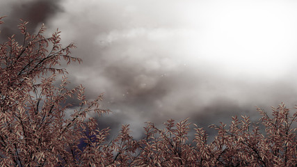 Dark autumnal background. 3d illustration, 3d rendering.