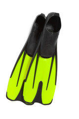 Two flippers for diving