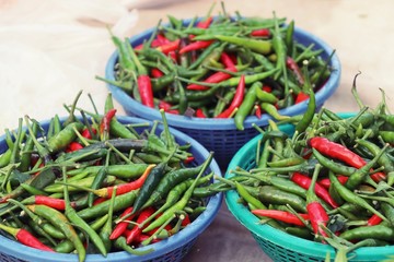 Fresh chilli
