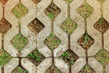 Brick wall background On a natural grass