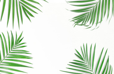 Obraz na płótnie Canvas Tropical palm leaves on white background. Minimal nature. Summer Styled. Flat lay. Image is approximately 5500 x 3600 pixels in size