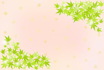 青もみじイメージ