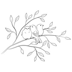 contour vector of birds