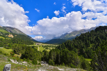 Fototapeta na wymiar Panoramica di alta montagna con pini e cielo blu 