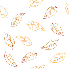 color contour simple leaves pattern