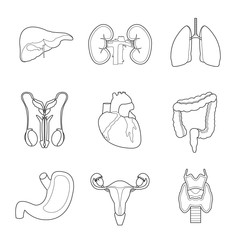 Set of simple human internal organs line art icons on white background. Viscera set - 169906825