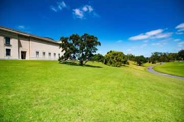 Fototapeta premium Green city park