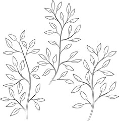 contour vector illustration of tree branch with leaves