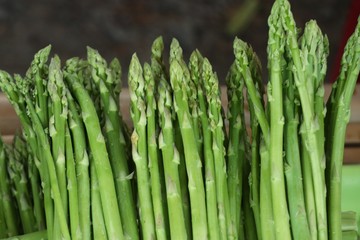 asparagus bunch