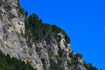 Cima di una montagna con pini verdi e cielo blu