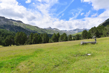 Panoramica di montagna con fontana in legno e pini 