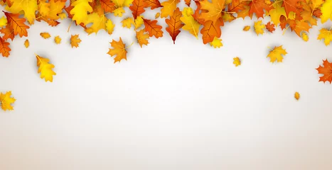 Foto op Canvas Autumn background with orange leaves. © Vjom