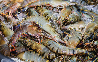 shrimp on ice at a market in Thailand