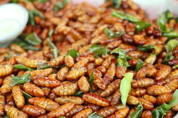 Fried Insect at street food