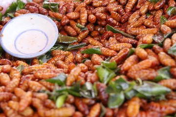 Fried Insect at street food